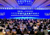 2022中国汽车金融产业峰会-北京速记